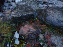 2013-10-26_Schildenstein (081).JPG